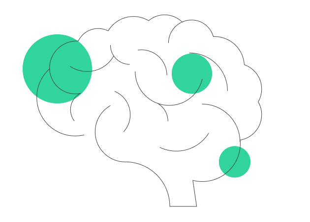 brain